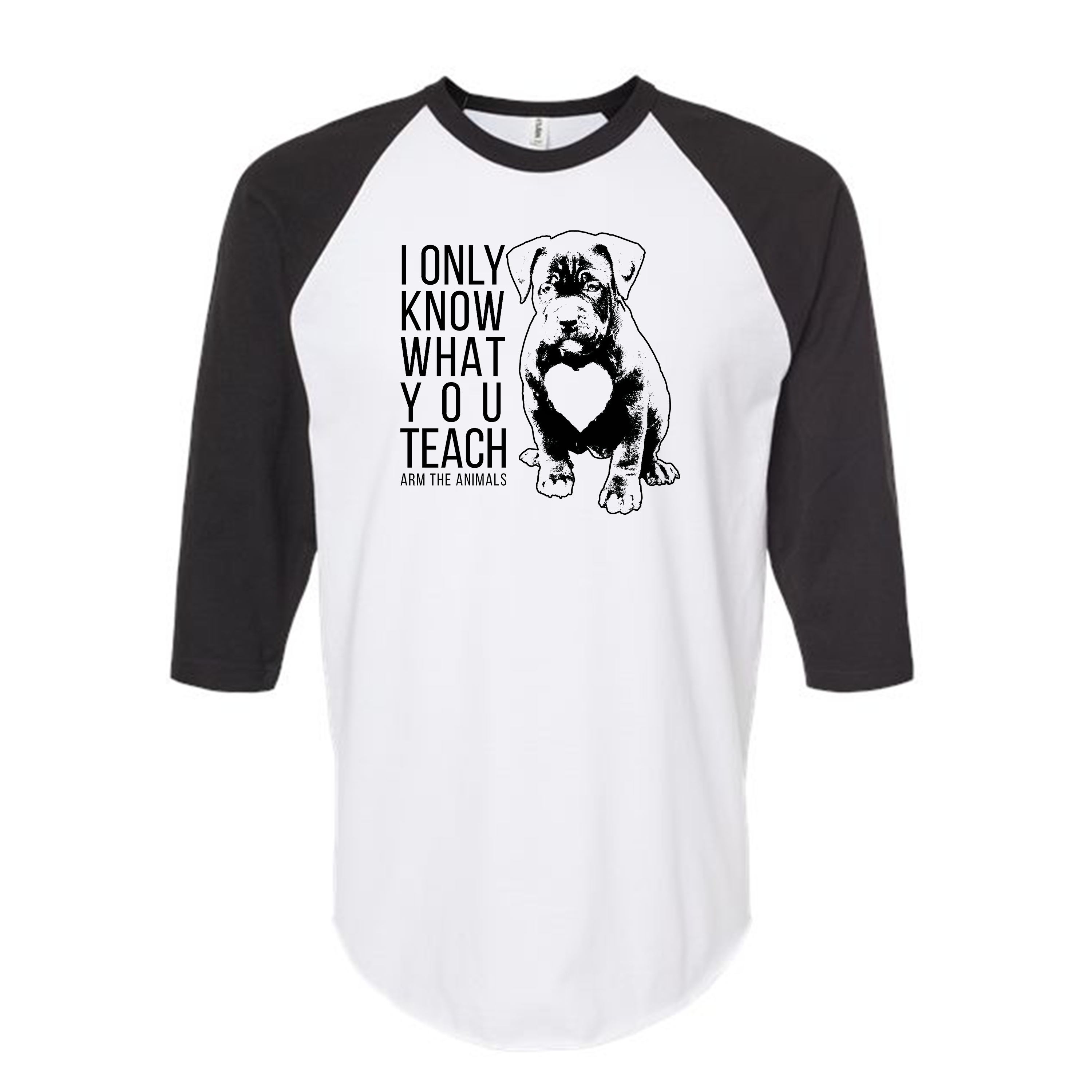 Unisex | What You Teach | Raglan