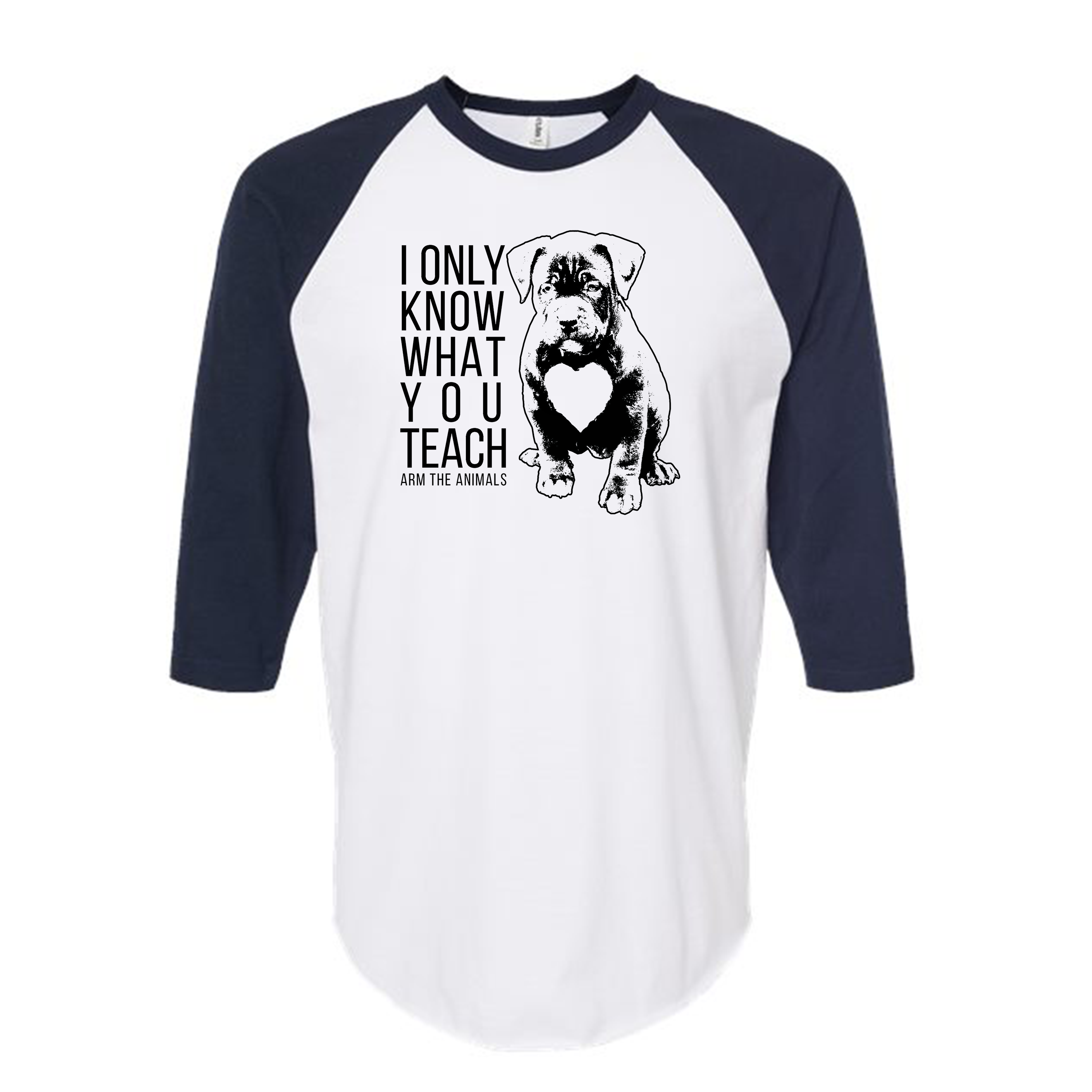 Unisex | What You Teach | Raglan