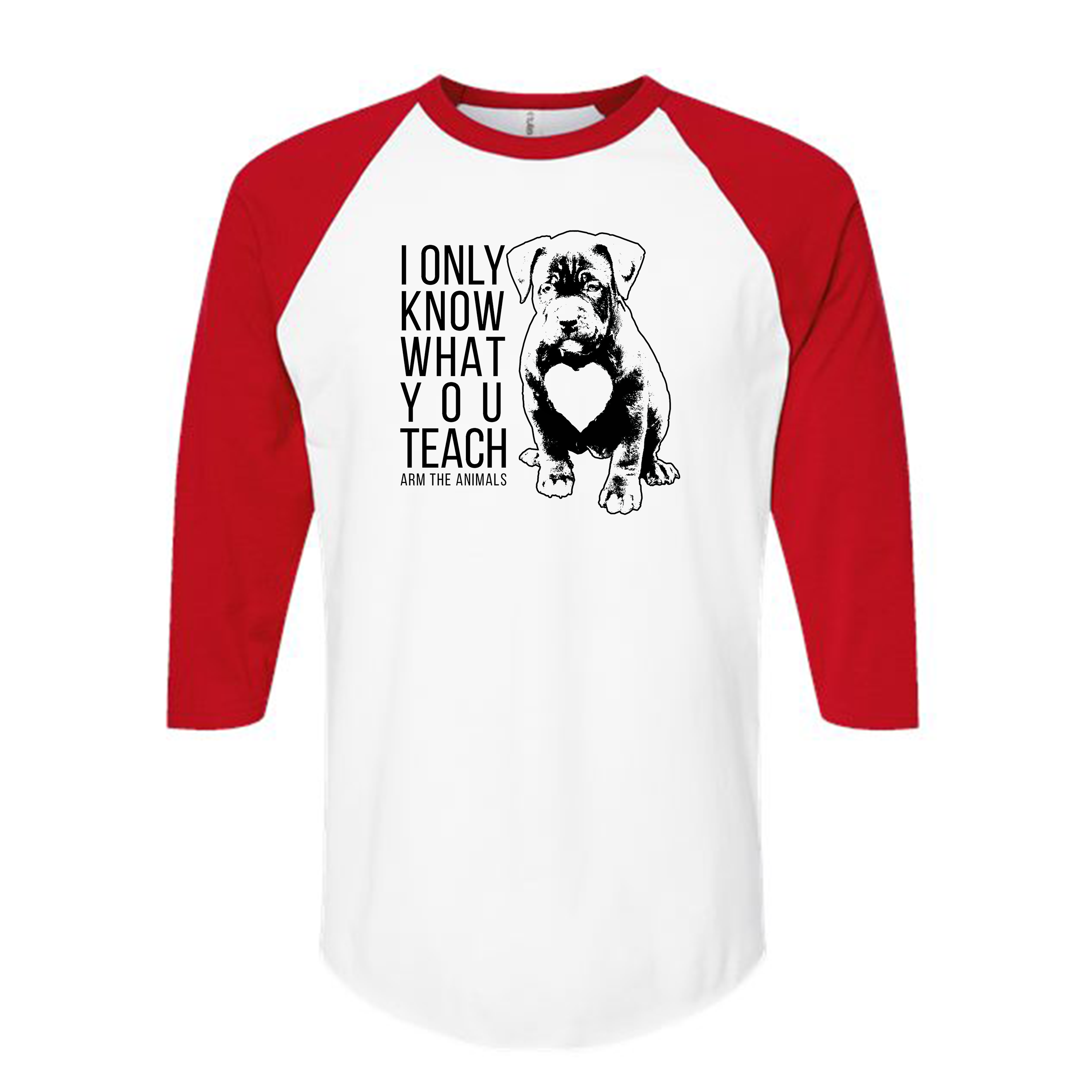 Unisex | What You Teach | Raglan