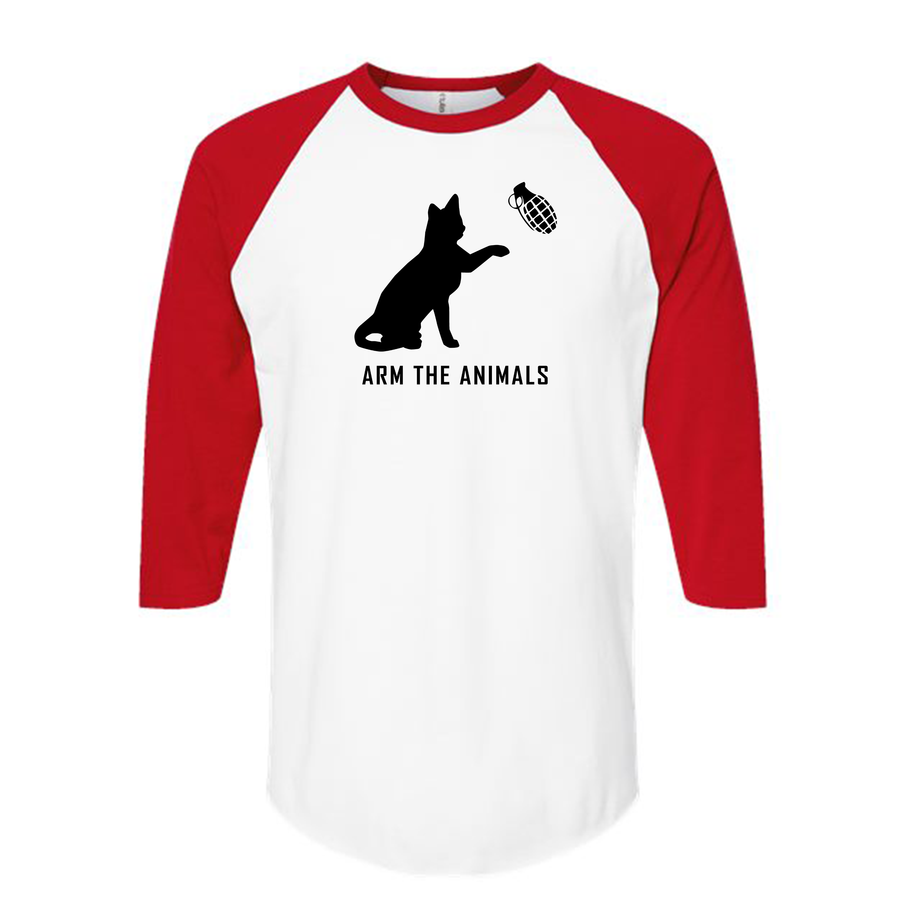 Unisex | Catastrophe 1.0 | Raglan