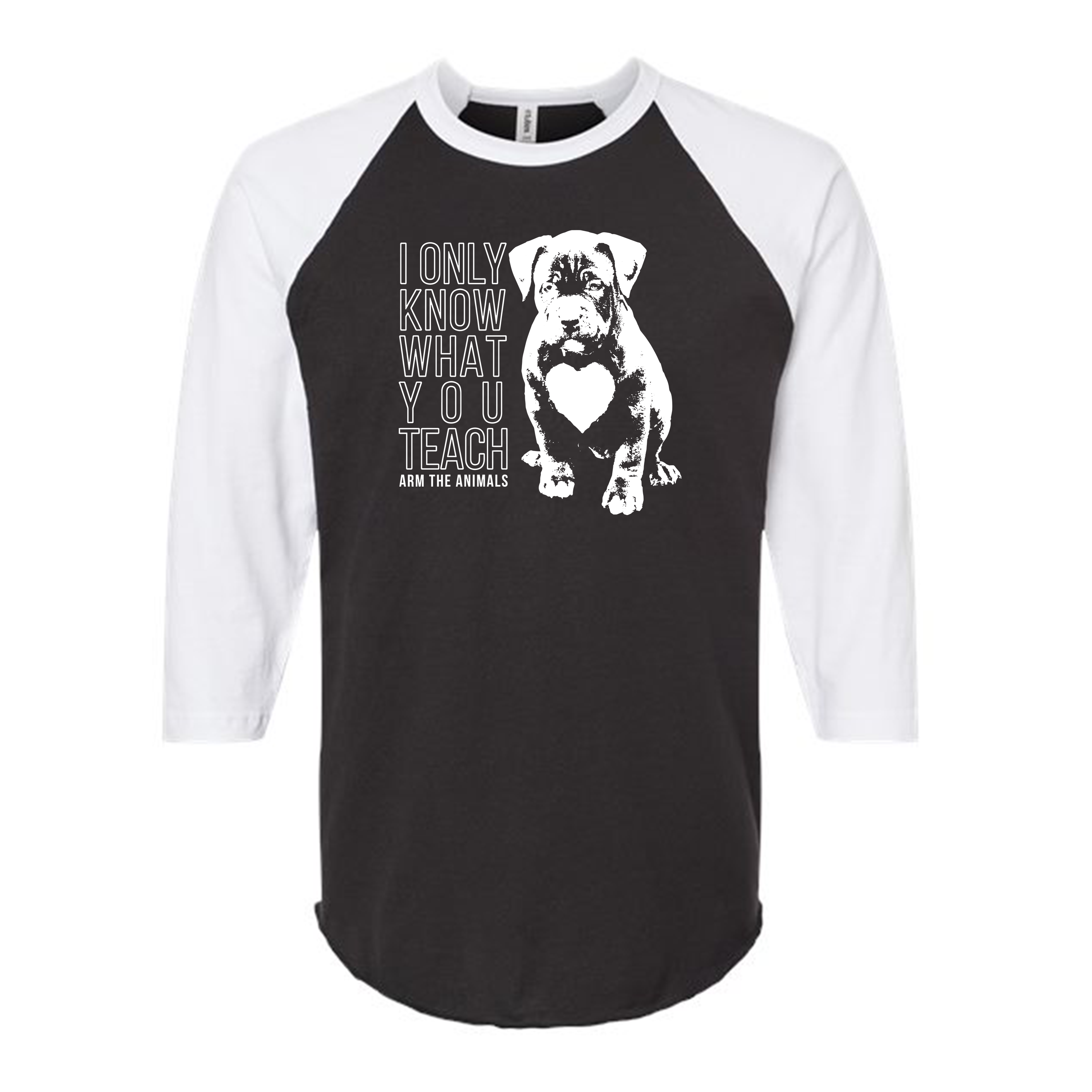 Unisex | What You Teach | Raglan