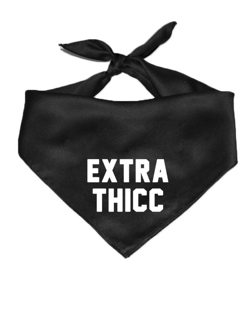Accessory | Extra Thicc | Square Cotton Bandana