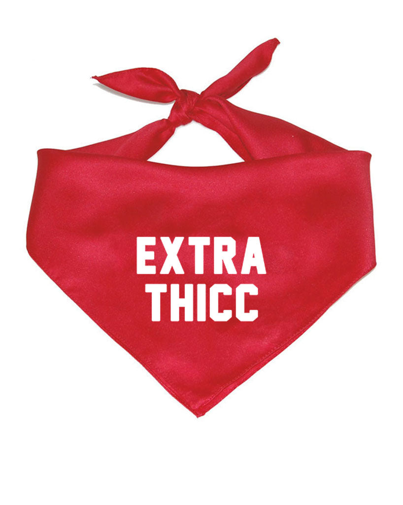 Accessory | Extra Thicc | Square Cotton Bandana