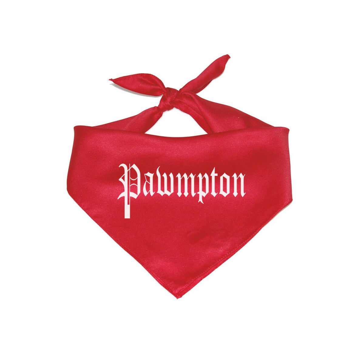 Accessory | Pawmpton | Square Cotton Bandana