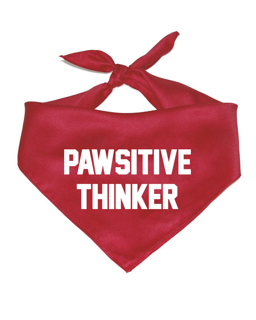 Accessory | Pawsitive Thinker | Square Cotton Bandana