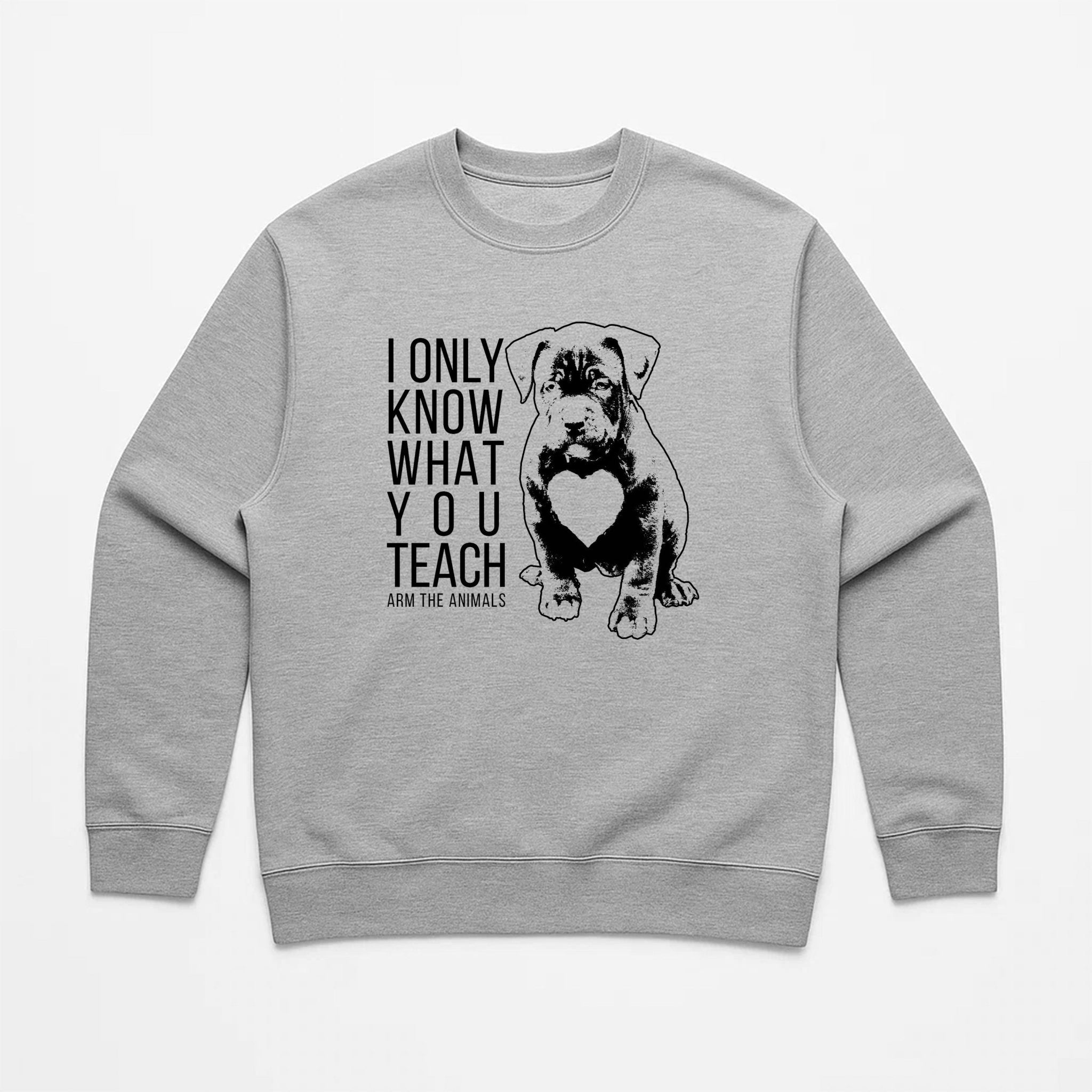 Unisex | What You Teach | Crewneck Sweatshirt - Arm The Animals Clothing LLC