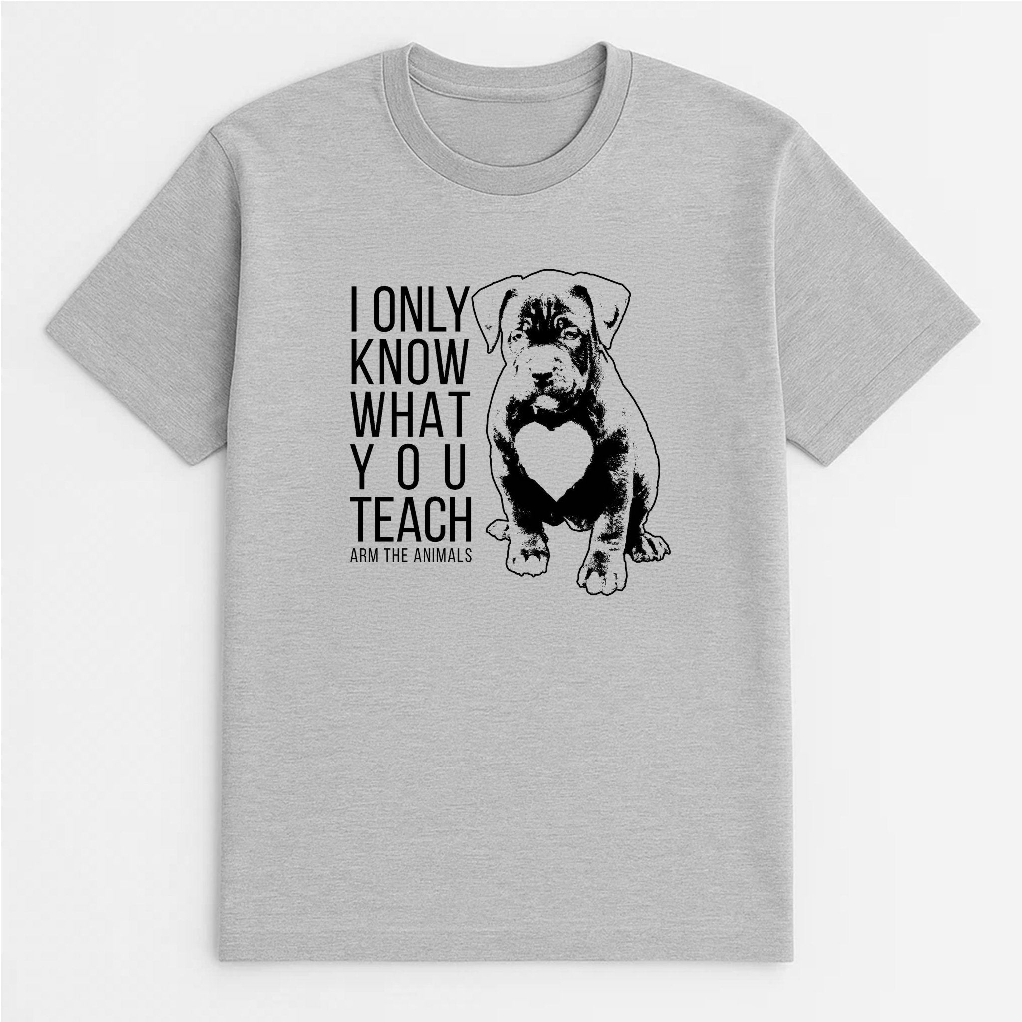 Unisex | What You Teach | Tee - Arm The Animals Clothing LLC