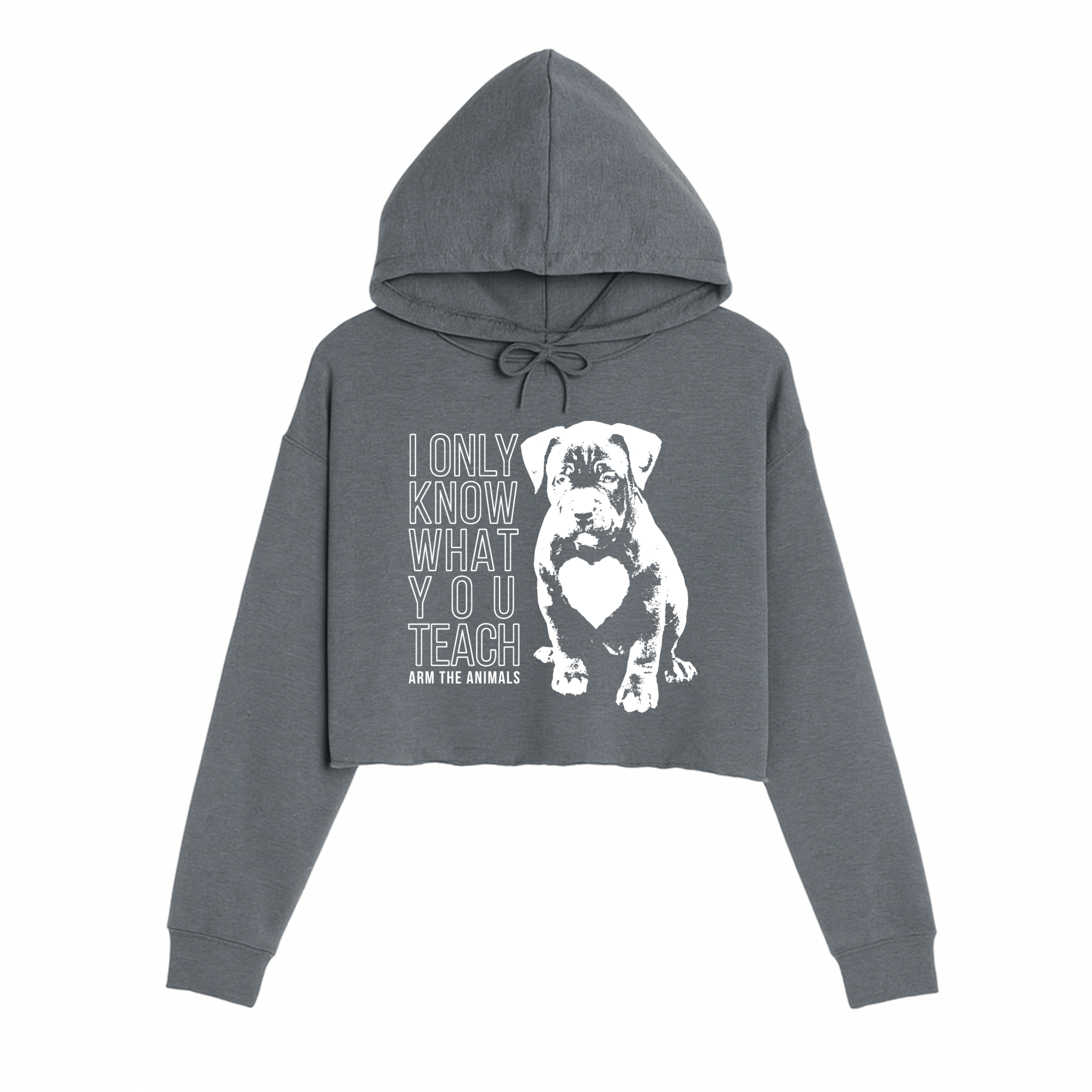 Women's | What You Teach | Crop Hoodie - Arm The Animals Clothing LLC