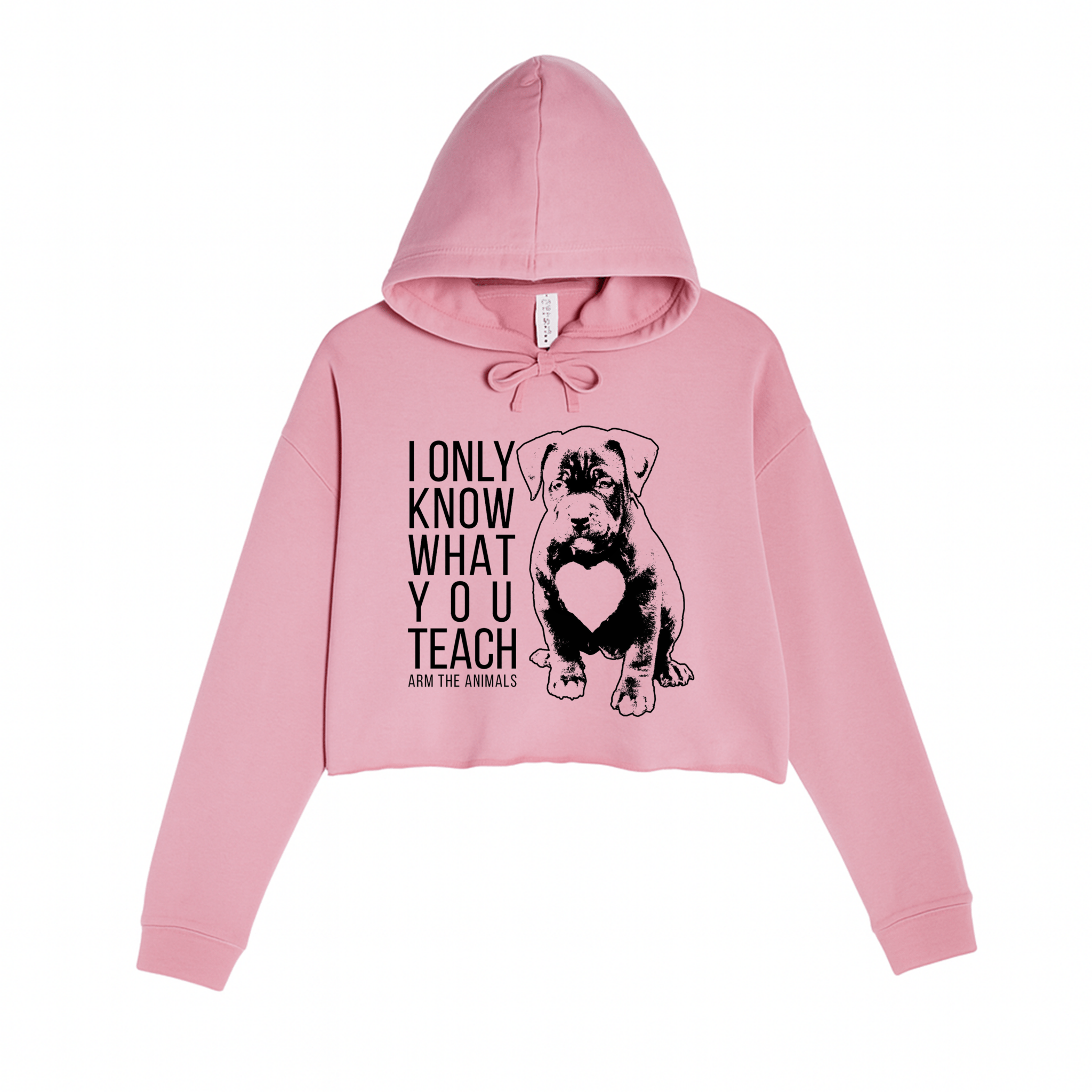 Women's | What You Teach | Crop Hoodie - Arm The Animals Clothing LLC